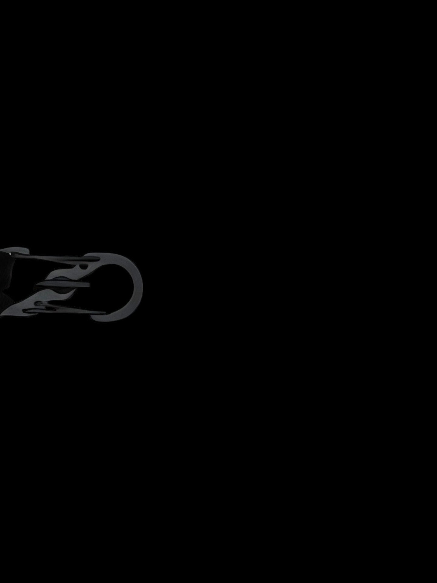 Karabiner von Peak Protect